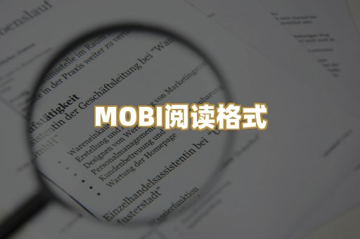 MOBI阅读格式
